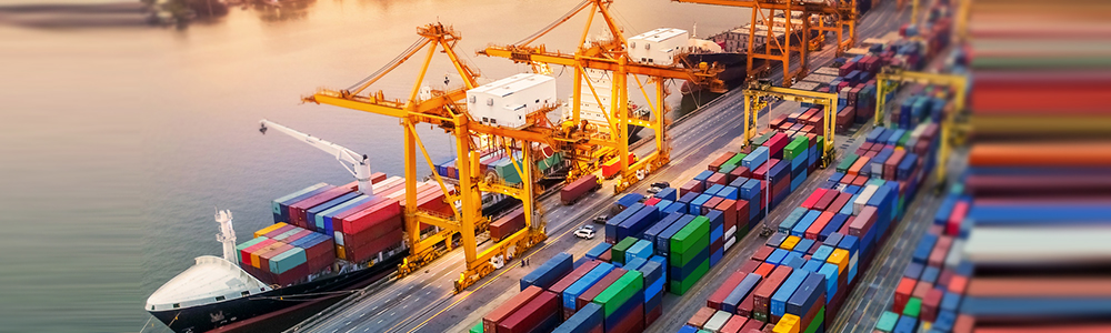 Customs & International Trade